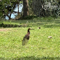 фото из отзыва ID 2720699