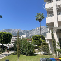 фото из отзыва ID 2720721