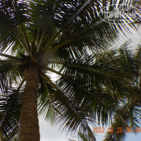 фото из отзыва ID 2720758