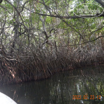 фото из отзыва ID 2720758