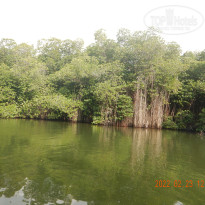 фото из отзыва ID 2720758