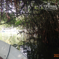 фото из отзыва ID 2720758