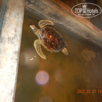 фото из отзыва ID 2720758