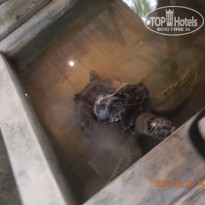 фото из отзыва ID 2720758