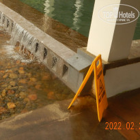 фото из отзыва ID 2720758