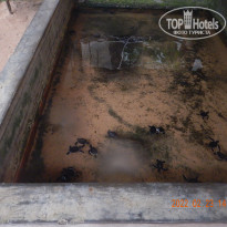 фото из отзыва ID 2720758