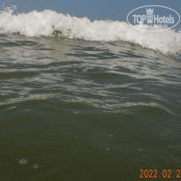 фото из отзыва ID 2720758