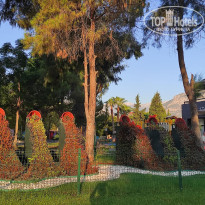 фото из отзыва ID 2720763