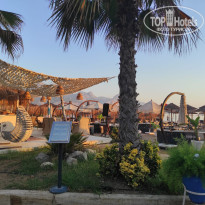 фото из отзыва ID 2720763