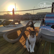 фото из отзыва ID 2720763