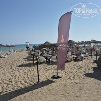 фото из отзыва ID 2720777