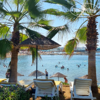 фото из отзыва ID 2720778