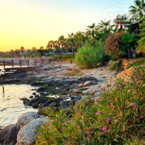 фото из отзыва ID 2720778