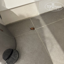 фото из отзыва ID 2720792