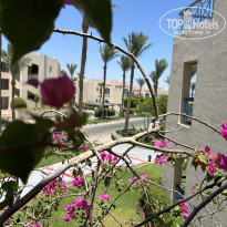 фото из отзыва ID 2720802