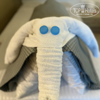 фото из отзыва ID 2720856