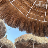 фото из отзыва ID 2720856