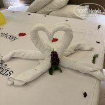 фото из отзыва ID 2720856