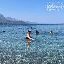 фото из отзыва ID 2720865