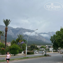 фото из отзыва ID 2720865