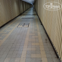 фото из отзыва ID 2720503