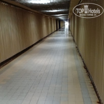 фото из отзыва ID 2720503