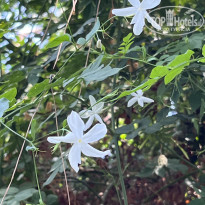 фото из отзыва ID 2720251