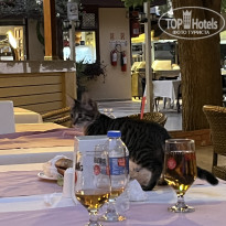 фото из отзыва ID 2720251