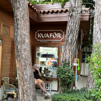 фото из отзыва ID 2720251