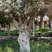 фото из отзыва ID 2720251