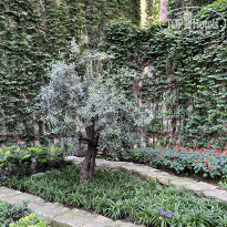 фото из отзыва ID 2720251