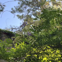 фото из отзыва ID 2720251