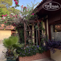 фото из отзыва ID 2720251