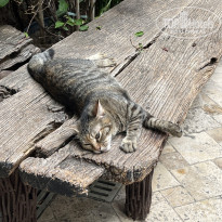 фото из отзыва ID 2720251