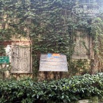 фото из отзыва ID 2720251