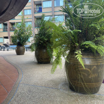 фото из отзыва ID 2720932