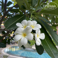 фото из отзыва ID 2720932