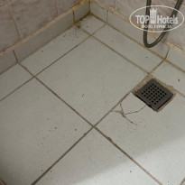 фото из отзыва ID 2721015