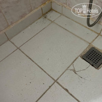 фото из отзыва ID 2721015