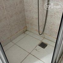 фото из отзыва ID 2721015