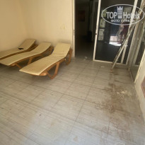 фото из отзыва ID 2721015