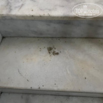 фото из отзыва ID 2721015