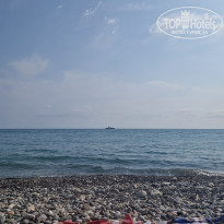 фото из отзыва ID 2721017