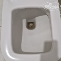 фото из отзыва ID 2721017