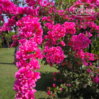 фото из отзыва ID 2721036