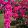 фото из отзыва ID 2721036