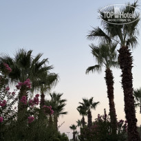 фото из отзыва ID 2721045