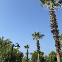 фото из отзыва ID 2721045