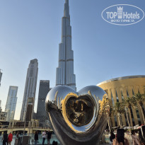 фото из отзыва ID 2721030