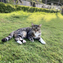 фото из отзыва ID 2721066